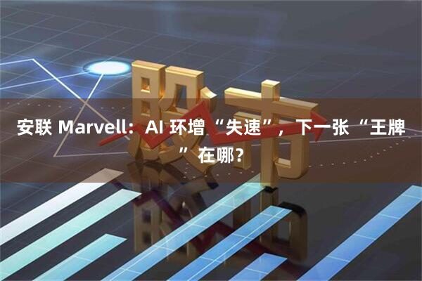 安联 Marvell：AI 环增 “失速”，下一张 “王牌” 在哪？