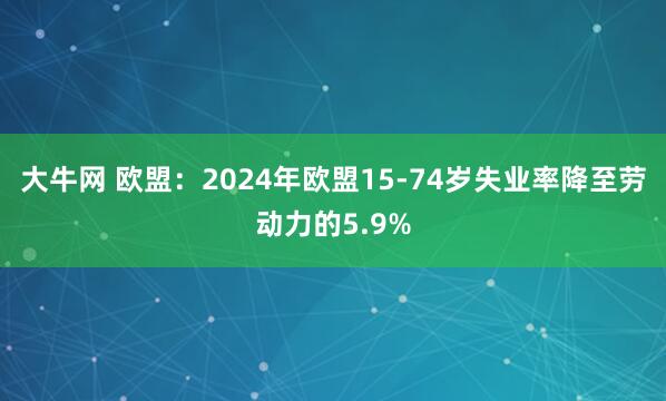 大牛网 欧盟：2024年欧盟15-74岁失业率降至劳动力的5.9%