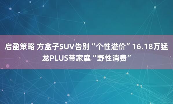 启盈策略 方盒子SUV告别“个性溢价”16.18万猛龙PLUS带家庭“野性消费”