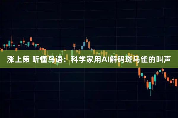 涨上策 听懂鸟语：科学家用AI解码斑马雀的叫声